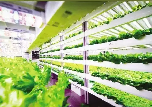南京諾爾迅亮化，照明亮化工程